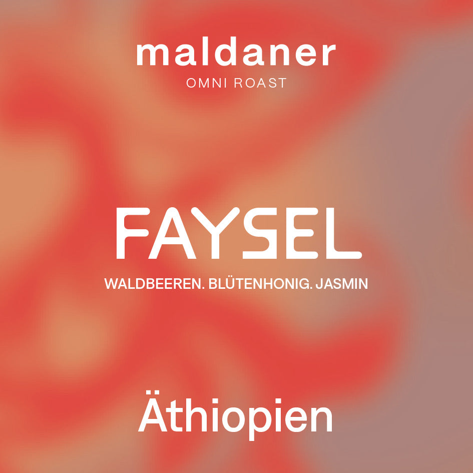 Faysel I Äthiopien I washed