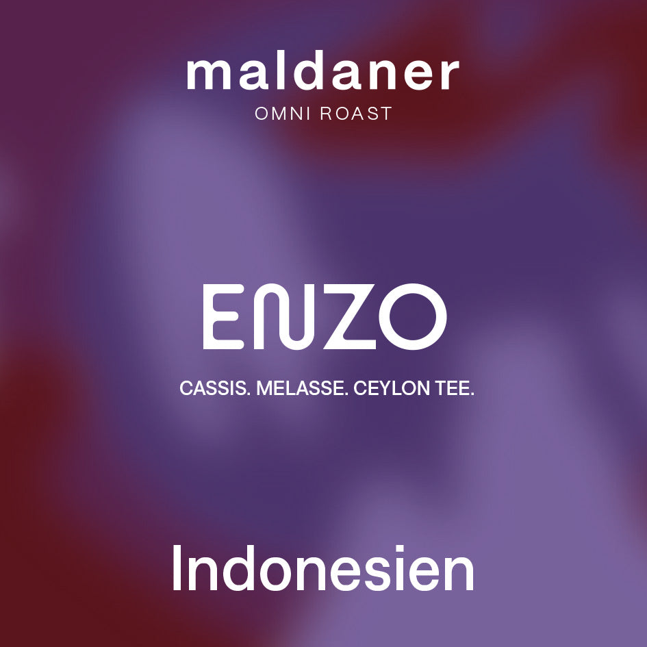 Enzo I Indonesien I natural I Espresso