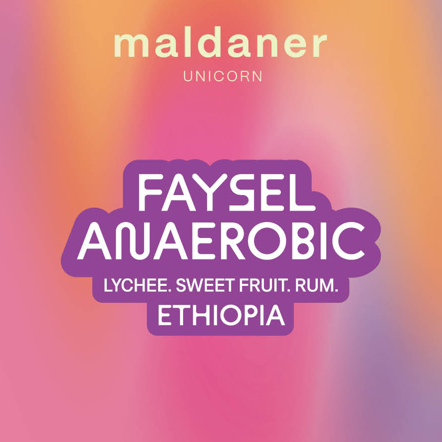 Faysel Anaerobic | Äthiopien