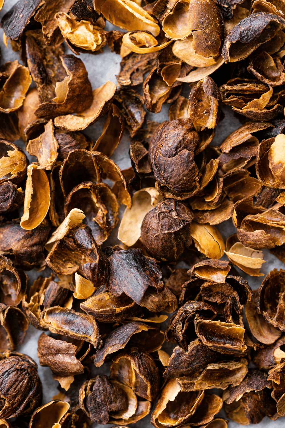 Cascara | Kaffeekirschentee