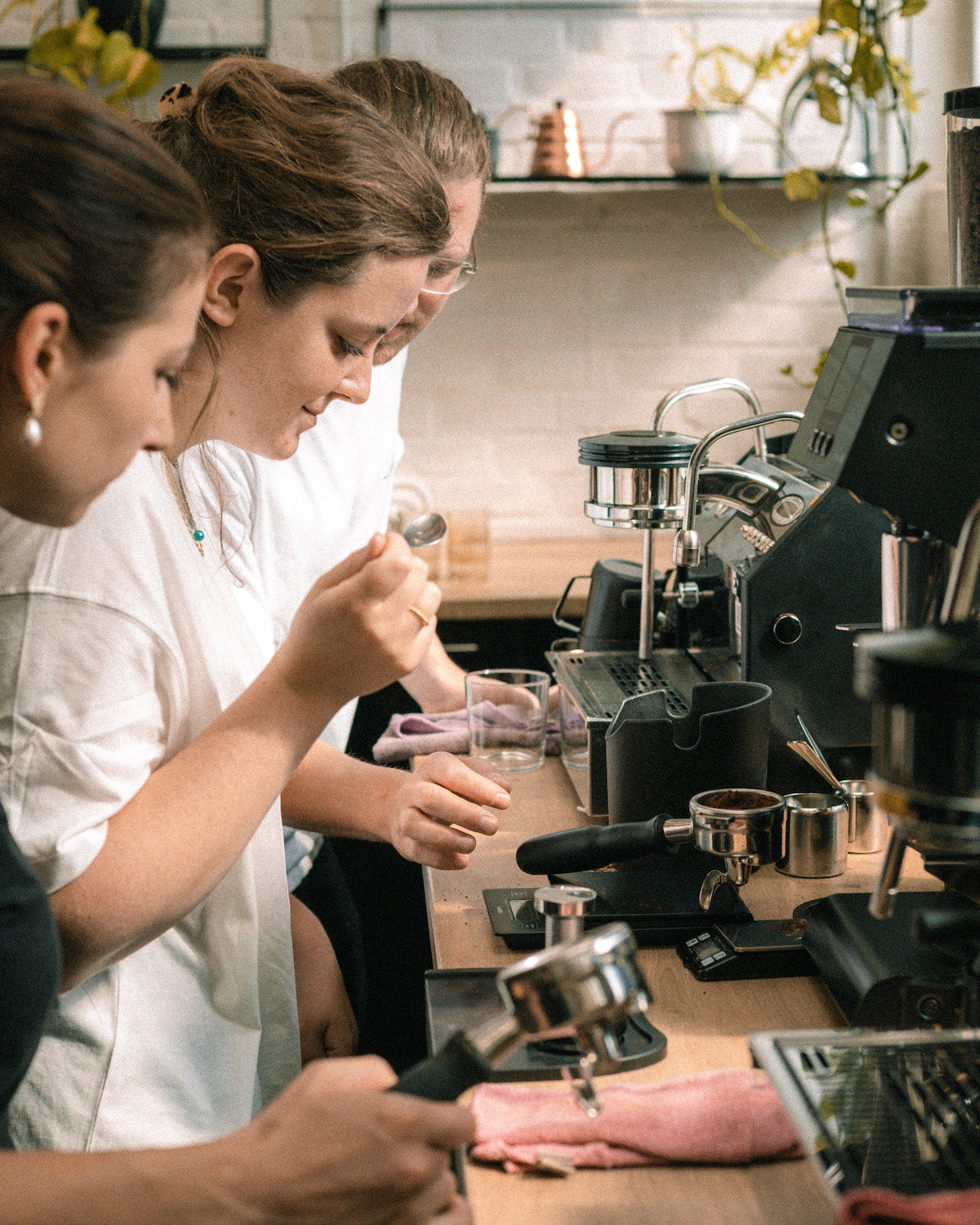 Barista Basic Coffee Workshop in Wiesbaden and Mainz | Maldaner Coffee  Roasters