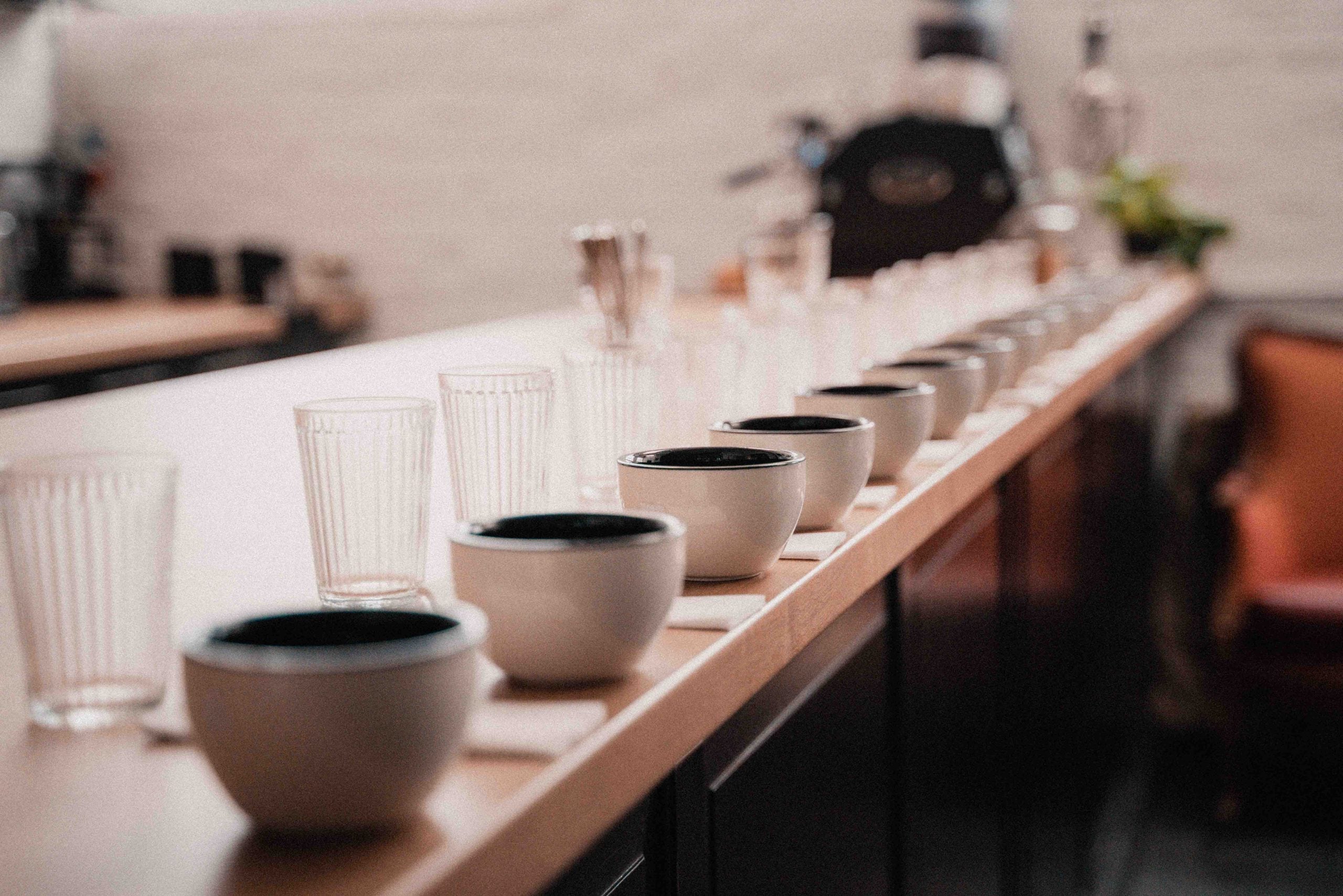 Open Cupping Coffee Tasting In Wiesbaden Und Mainz Maldaner Coffee open-cupping-coffee-tasting-in-wiesbaden-und-mainz-maldaner-coffee