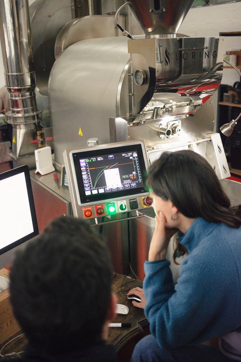 Röstprofil – Bildbeschreibung