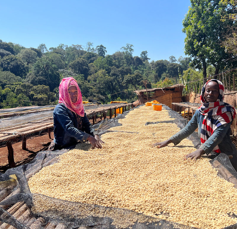 Aufbereitung – Bildbeschreibung