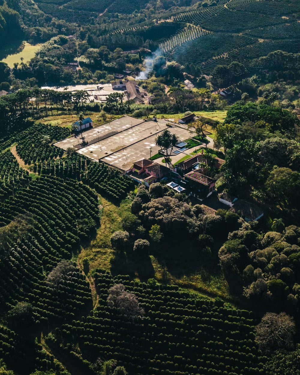 Herkunft – Bildbeschreibung